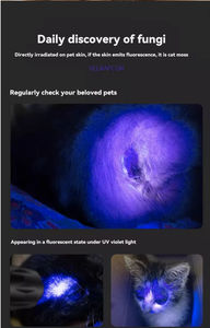 Yüksek kaliteli Pet ahşap lamba | Ringworm ve cilt hastalığı algılama için profesyonel UV ışık | Taşınabilir tip-c şarj edilebilir tasarım - Product Image 4