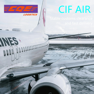Pioneer Logistics Agente en línea <span class=keywords><strong>Trabajos</strong></span> Entrega Mensajería Entrada DE DATOS Envío en China-Categoría de producto Air Express - Product Image 4