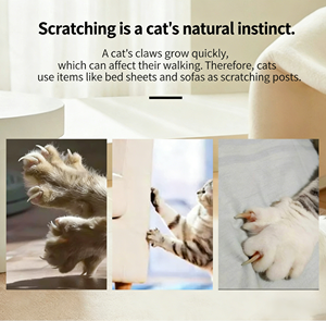 Casa para Gatos con Rascador, 55x29x25 cm, de Cartón Corrugado Resistente, con Espacio Privado para Dormir, Fácil de Montar - Product Image 4