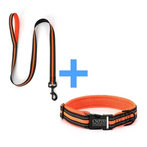 Bán Buôn Sản Phẩm Pet Leash Đào Tạo Chó Cổ Áo Thiết Lập Sang Trọng Cá Nhân Nhỏ Dog Collar Và Leash Set Săn Bắn Nylon Cổ Áo