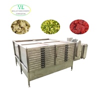 Hotsale RVS Uiendroogmachine Bonendroogbox Bladgroente Dehydratatie Apparaat Gas Aangedreven 220V Motor 4m²