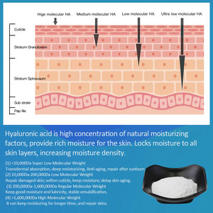 Amulyn Supply - Hialuronato de Sodio en Polvo de Grado Cosmético, Ácido Hialurónico de Alta Pureza a Granel para Formulación de Productos para el Cuidado de la Piel - Product Image 3