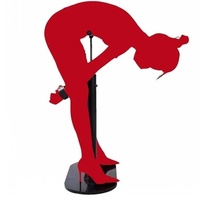 Rack de Contrainte BDSM pour Outils de Torture Érotiques, Type Entrée Arrière, pour Hommes/Femmes, Utilisation pour l'Entraînement Passionné