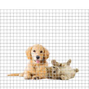 12.5x12.5 12.5x25mm Galvanized Welded <b>Mesh</b> Rolls 10 12 14 Gauge Bird Cage Breeding <b>Mesh</b> Square Welded <b>Mesh</b> Panels - Product Image 4