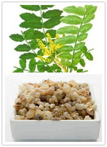 Высококачественный экстракт Boswellia Serrata, порошок босвеллиевой кислоты, экстракт босвеллиевой кислоты, 95% - Product Image 4