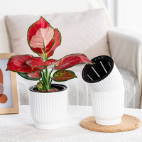 Pot de fleurs auto-arrosant coloré et respirant, jardinière en plastique au design unique à rayures verticales, parfait pour les roses de bureau, petit modèle