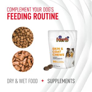 Compléments alimentaires pour animaux de compagnie en marque blanche OEM/ODM, compléments alimentaires personnalisés en marque blanche pour la santé de la peau et du pelage, friandises molles pour la santé des chiens et compléments alimentaires - Product Image 4