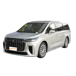 2023 OEM New Energy 475KM veicolo elettrico ad alta velocità VOYAH Dreamer MPV EV Cars