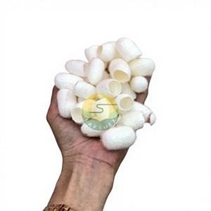 Capullo de Seda Natural Orgánico Biodegradable de Vietnam para Limpieza Facial y Cuidado de la Piel - Ecológico, Corte 1/3, Seguro, Suave y Lavable - Product Image 1