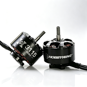 Motor sin Escobillas de Metal Hoying XRotor Lotte FPV Drone 3115 900KV para Modelos RC 6S de Largo Alcance y Carreras de 10 Pulgadas - Product Image 1