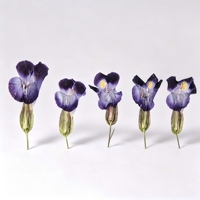 Fleurs de Torenia naturelles séchées pressées pour artisanat DIY, art de la résine, décoration de coques de téléphone
