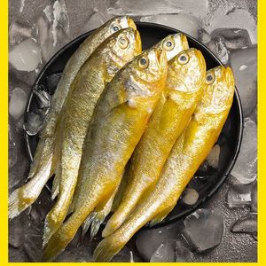 Corvina Amarilla Pequeña Fresca Congelada Capturada en el Mar, Caja Entera de Mariscos 500g, Venta al por Mayor, Pescado de la Mejor Calidad A+, Listo para Consumir - Product Image 6