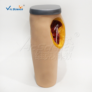 Modelo Avanzado de Inyección Intramuscular en la Cadera con Anatomía Removible para Recursos de Enseñanza de Habilidades de Enfermería, Certificaciones CE, ISO, ROHS, CNAS, SGS, Directo de Fábrica - Product Image 5
