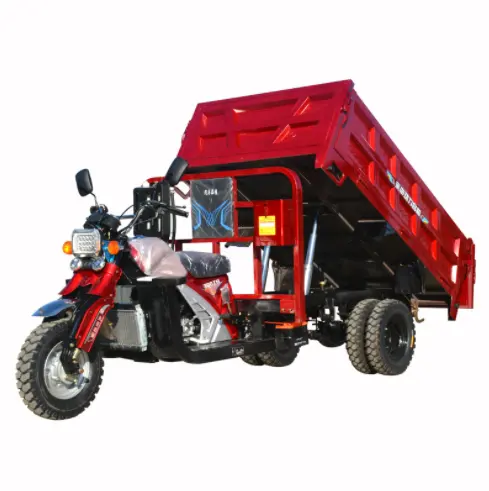 Triciclo de carga popular de alta capacidad, motocicleta de 3 ruedas, carga pesada personalizada, 250cc, 300cc, azul, rojo, verde
