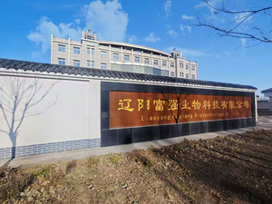 FUQANG Carbonate <span class=keywords><strong>de</strong></span> potassium <span class=keywords><strong>de</strong></span> qualité alimentaire (KHCO3) 99% pur, améliorant la valeur nutritionnelle - Product Image 3