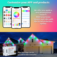 Luces LED de Cadena Inteligentes Personalizadas de Fábrica Gouly, Luces Puntuales LED Impermeables IP68, Luces Permanentes para Exteriores