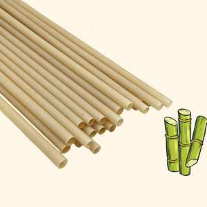 Pailles jetables personnalisées en bagasse pour boissons froides, café, lait, thé – Pailles biodégradables en canne à sucre - Product Image 3