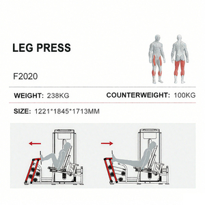 Factory <b>Leg</b> Press Machine Oval Tube Strength Training Commercial Home Gym Fitness Equipment Seated Extension WD-F2020 Your - Product Image 3