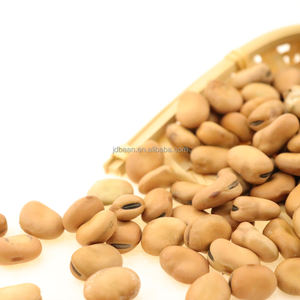 A granel sin cáscara y sin cáscara Orgánica Faba <span class=keywords><strong>Fava</strong></span> Frijoles secos - Product Image 4
