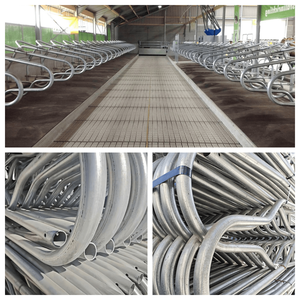 Divisorio per Box/Box Singoli in Acciaio Zincato Rinforzato a Montaggio Facile per la Gestione del Bestiame da Latte nelle Fattorie Moderne - Product Image 3