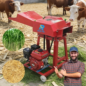 Mejor <span class=keywords><strong>Precio</strong></span> en Máquinas Cortadoras de Paja para Alimentación Animal, Picadoras de Paja Fresca, Tallo de Arroz, Pasto y Forraje para Ganado - Product Image 1