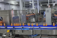 Mini machine de remplissage de soda, ligne de remplissage compacte pour bouteilles PET de boissons gazeuses, pour la production de petite capacité