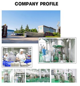 Essentiel pour la perte de poids Nouilles de konjac pures 0 gras Faible teneur en calories Repas de remplacement instantané spécial Nouilles de konjac shirataki - Product Image 6