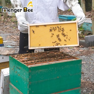 New Beekeeping Bee <b>Box</b> Yellow Slab Sheet Deep Plastic Foundation Pile with 2 Year Warranty <b>for</b> <b>Sale</b> - Product Image 3