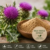 Extrait de Chardon-Marie (Silybum Marianum) 80% Silimarines HPLC/UV – Poudre d'extrait de Chardon-Marie de haute pureté pour la détoxification et le soutien hépatique