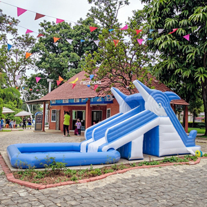 Toboggan gonflable double face de qualité commerciale avec mur d'escalade, château gonflable géant en PVC <span class=keywords><strong>pour</strong></span> <span class=keywords><strong>location</strong></span> événementielle et parcs d'attractions - Product Image 6