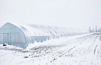 Serre tunnel agricole commerciale à structure simple en acier galvanisé à chaud, film PE 120 microns, stable et en promotion