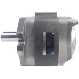 Pompe à engrenages hydraulique IPVP3 8 101 IPVAP5 IPVP5 32 40 50 64 101 601 IPVP6 64 601 IPVP6 80 101 1 Stage Compatible avec Voith - Product Image 1