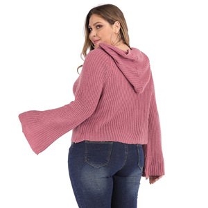 <span class=keywords><strong>Pull</strong></span> en tricot à <span class=keywords><strong>manches</strong></span> <span class=keywords><strong>évasées</strong></span> et à capuche pour femmes grandes tailles, pour femmes rondes - Product Image 4