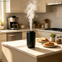 Diffuseur d'arômes pour voiture en métal A613, nouvelle arrivée, sans eau, nébuliseur à air froid, démarrage et arrêt intelligents, 2000 mAh