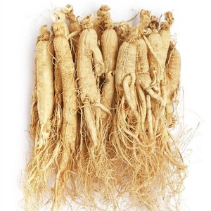 Vente en gros en vrac 100% <span class=keywords><strong>ginseng</strong></span> rouge coréen pur <span class=keywords><strong>panax</strong></span>/extrait de <span class=keywords><strong>ginseng</strong></span> rouge/pouvoir racinaire du <span class=keywords><strong>ginseng</strong></span> - Product Image 4