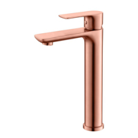 Robinet de lavabo moderne en acier inoxydable de haute qualité avec cartouche en céramique, monotrou, à poser sur le comptoir, pour salle de bain