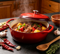 Marmites en fonte polie émaillée pour la cuisine à domicile ensemble d'ustensiles de cuisine casseroles soupe marmite avec couvercle