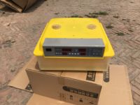Incubateur Entièrement Automatique à Bas Prix pour l'Éclosion des Œufs, Taux d'Éclosion de 98%, Petite Taille, Double Alimentation, 24 Œufs
