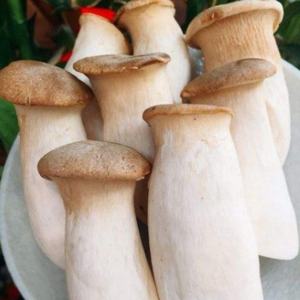 Vente chaude de haute qualité champignon d'huître royale congelé champignon <span class=keywords><strong>Eryngii</strong></span> congelé <span class=keywords><strong>Pleurotus</strong></span> <span class=keywords><strong>Eryngii</strong></span> congelé - Product Image 2