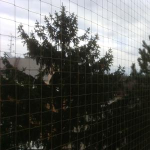 Filet anti-<span class=keywords><strong>oiseaux</strong></span> en polyéthylène haute densité, conception pour animaux et plantes, solution efficace de lutte antiparasitaire pour les champs de fraises - Product Image 6