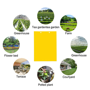 Piège collant jaune solide double face étanche pour le contrôle des ravageurs <span class=keywords><strong>de</strong></span> jardin courants - Product Image 4