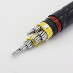 Câble <span class=keywords><strong>d</strong></span>'alimentation gainé <span class=keywords><strong>de</strong></span> <span class=keywords><strong>PVC</strong></span> blindé <span class=keywords><strong>de</strong></span> ruban <span class=keywords><strong>d</strong></span>'acier isolé par Xlpe <span class=keywords><strong>de</strong></span> noyau <span class=keywords><strong>de</strong></span> cuivre pour diverses occasions <span class=keywords><strong>de</strong></span> <span class=keywords><strong>pose</strong></span> <span class=keywords><strong>de</strong></span> porte <span class=keywords><strong>d</strong></span>'entrée/sortie - Product Image 4