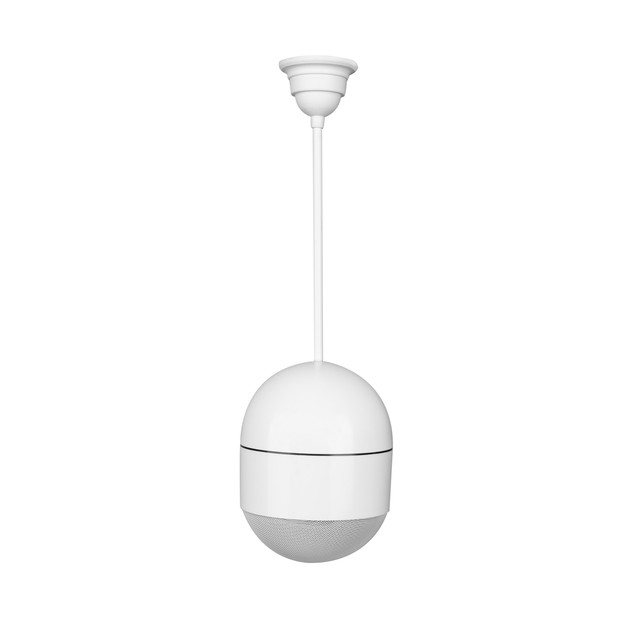 ABS Hanging Ball Speaker 70V/100V 15W with Clear Full-Range Sound Coaxial Design