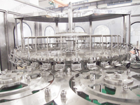 Automatische sapvulmachine, fruit sap bottelapparatuur, NFC verse sap PET flesvulfabriek