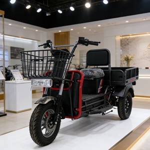 Moto hybride 3 roues à forte capacité de chargement pour la ville, 1000W, moto tout-terrain 3 roues, vente chaude en Inde - Product Image 6