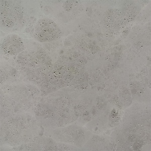 Marbre de calcaire gris fossile, pavés de calcaire gris et blanc, dalle de calcaire gris - Product Image 3