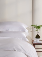 Parure de Lit Hôtel Cinq Étoiles Premium 4 Pièces 100% Coton 200TC Anti-Boulochage Respirante Toute Saison, Huitante Fils, pour Dortoirs CHENHONG