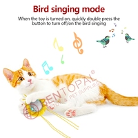 Mainan Kucing Interaktif Elektrik dengan Lampu LED Mainan Kucing Mewah Lucu dengan Kicau Burung