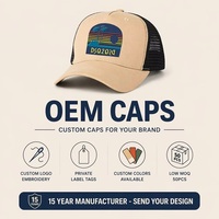 Gorra Trucker Personalizada con Diseño de Palmera, Malla Transpirable, Cierre Ajustable, Estilo Vintage Atardecer DSQ2020, Venta al por Mayor, Fabricante OEM, MOQ Bajo