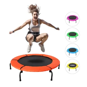 High Quality Wholesale High specification Gym Equipment Fitness Exercise Indoor Gymnastic Mini Trampoline For Sale